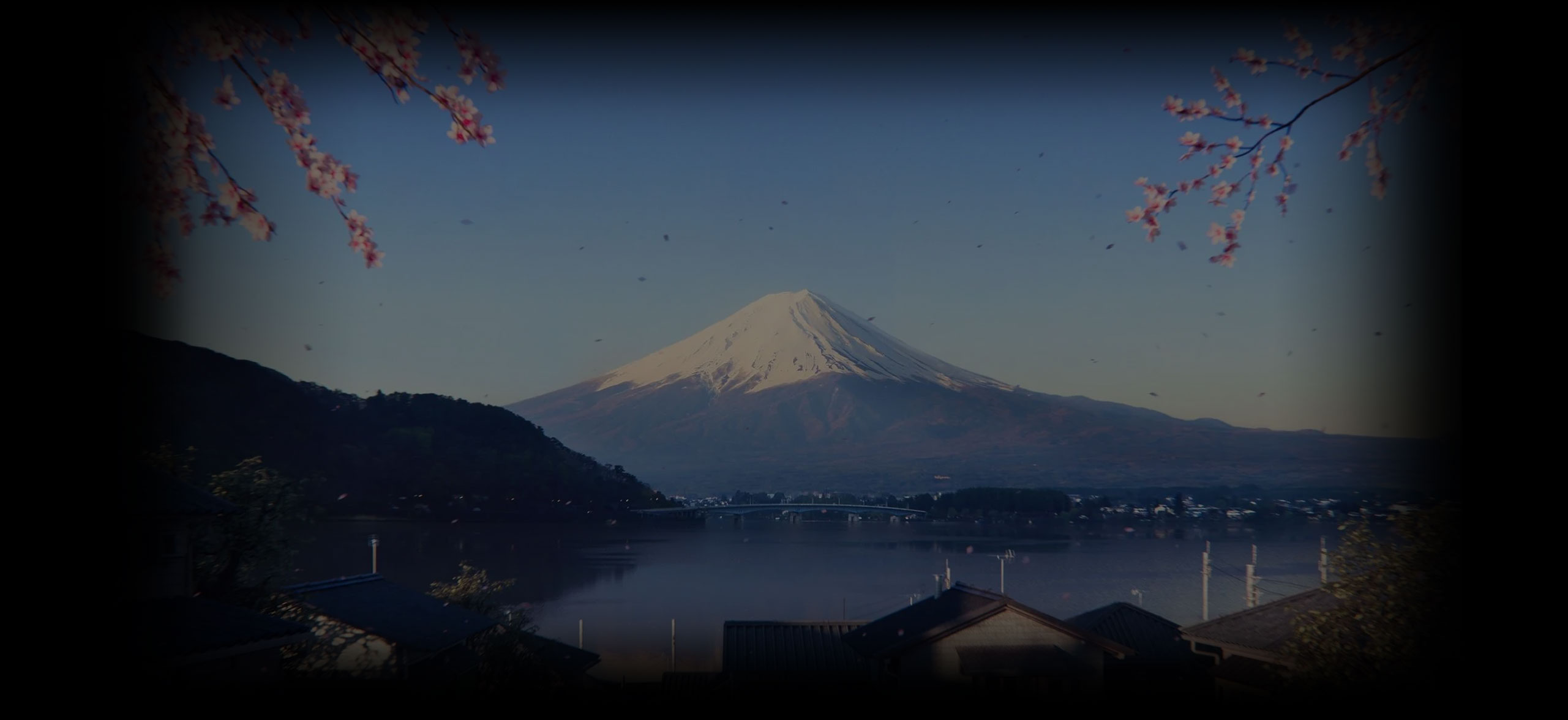 background image of game